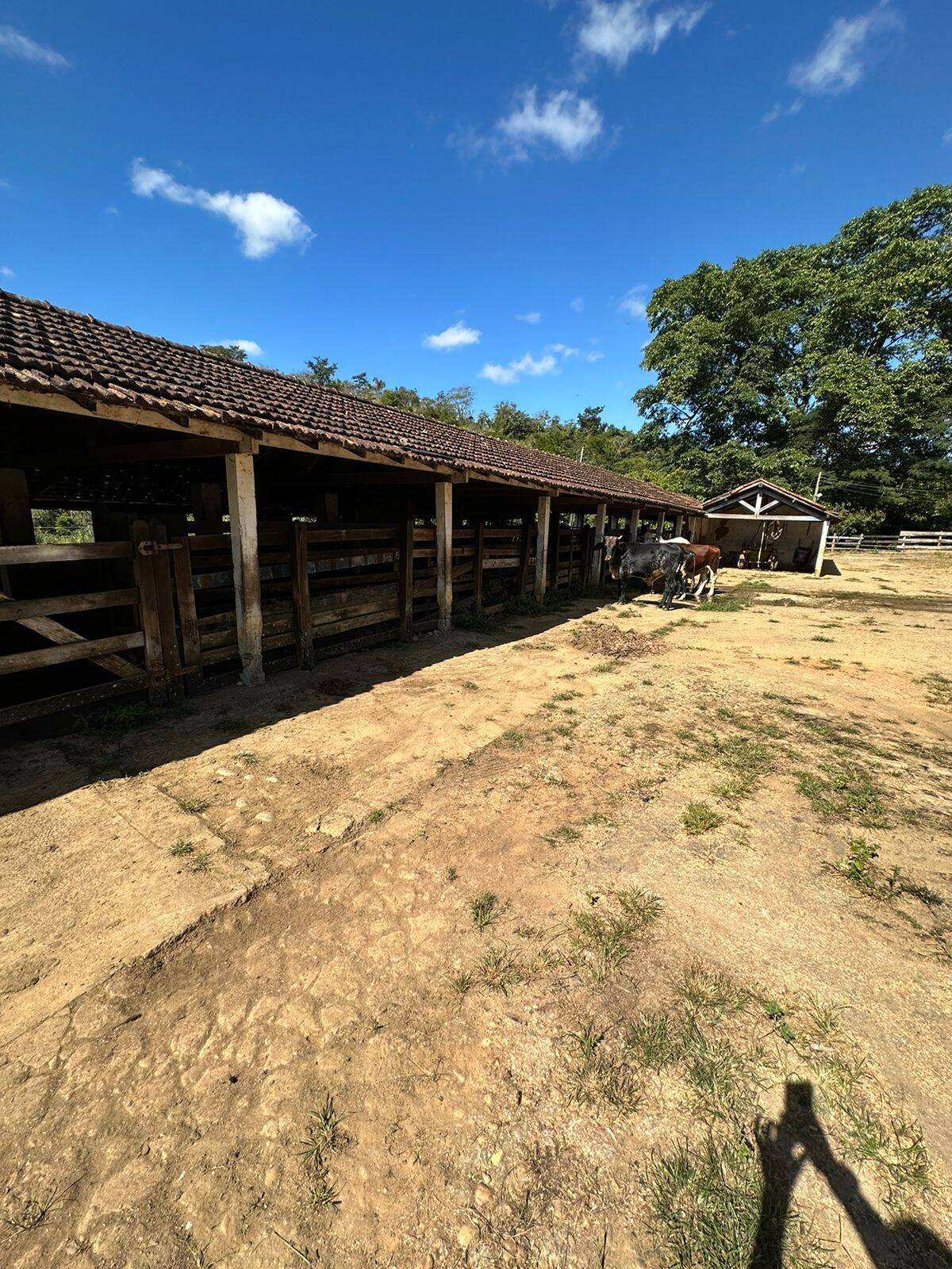 Fazenda, 300 m² - Foto 6