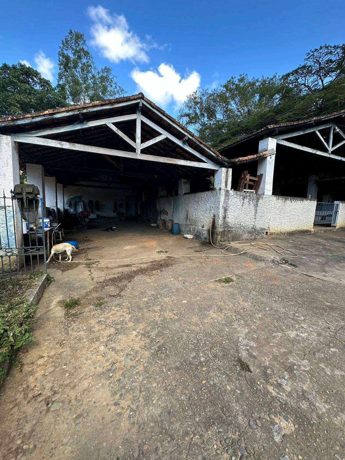 Fazenda, 300 m² - Foto 15