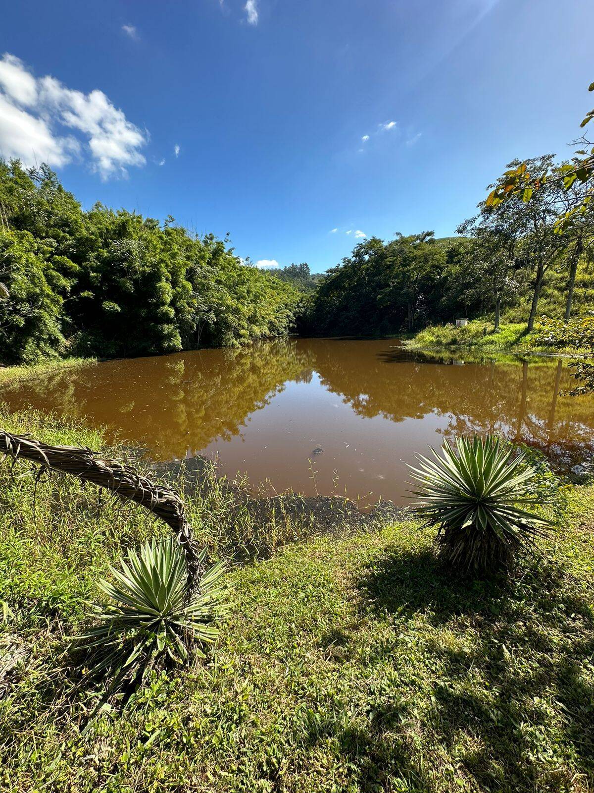 Fazenda, 300 m² - Foto 22