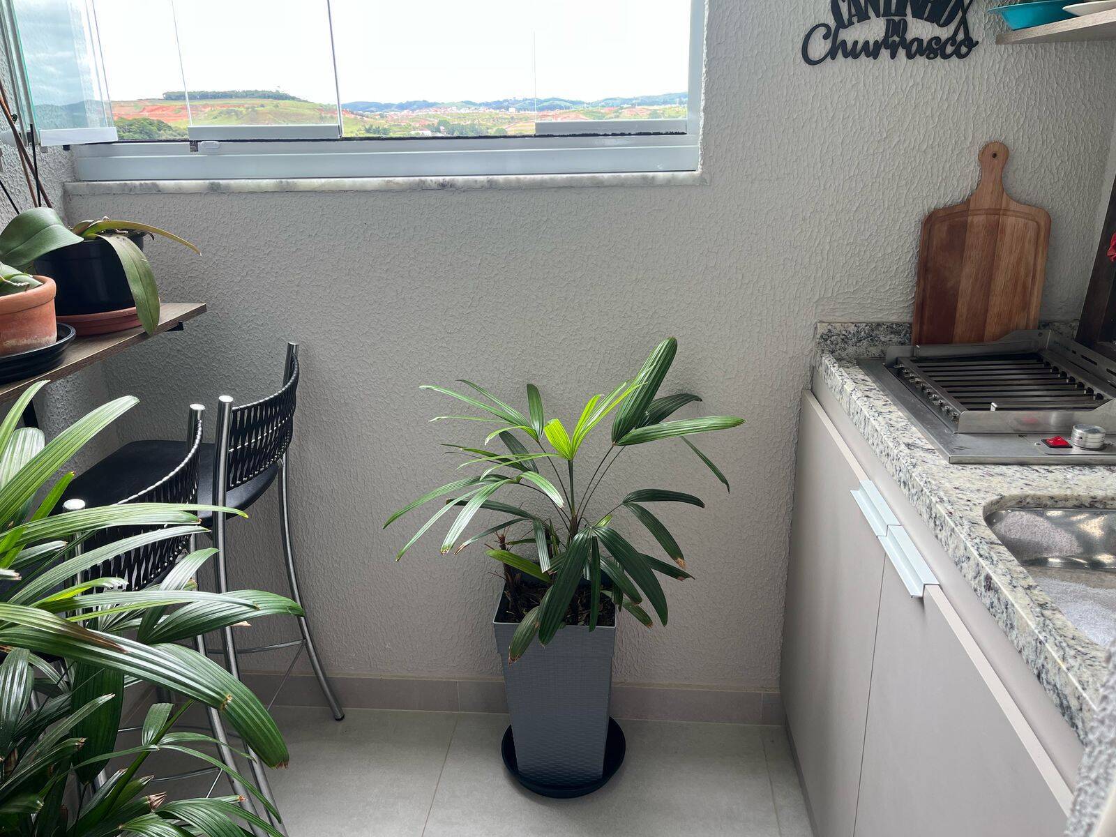 Apartamento, 2 quartos - Foto 5