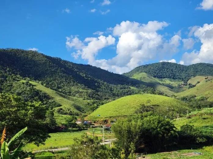 Chácara, 4 quartos, 3500 m² - Foto 2