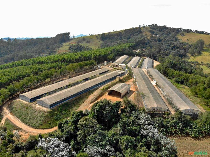 #GA-26288 - Sítio para Venda em Bragança Paulista - SP