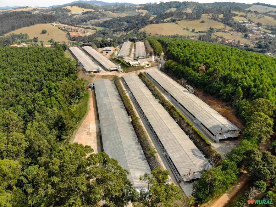 Terreno, 2 hectares - Foto 4