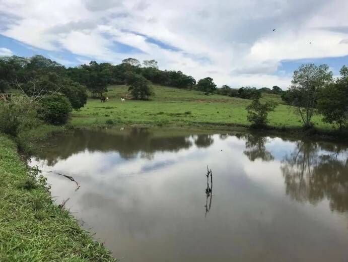 Fazenda, 83 m² - Foto 7