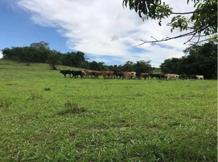 Fazenda, 83 m² - Foto 9