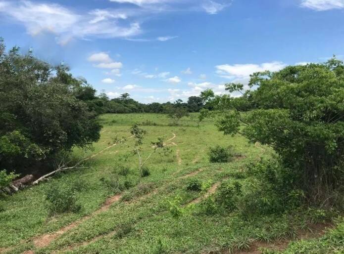 Fazenda, 83 m² - Foto 8