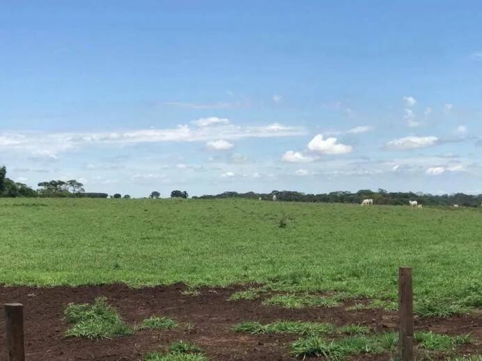 Fazenda, 83 m² - Foto 13