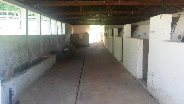 Fazenda, 3 hectares - Foto 4