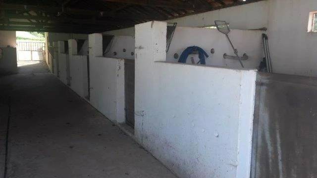 Fazenda, 3 hectares - Foto 6