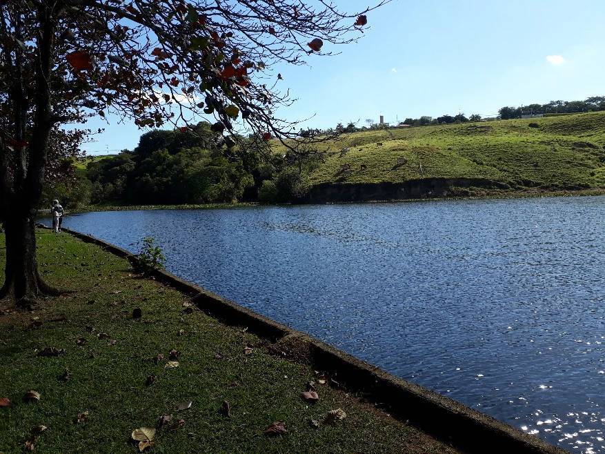 Fazenda, 3 hectares - Foto 12