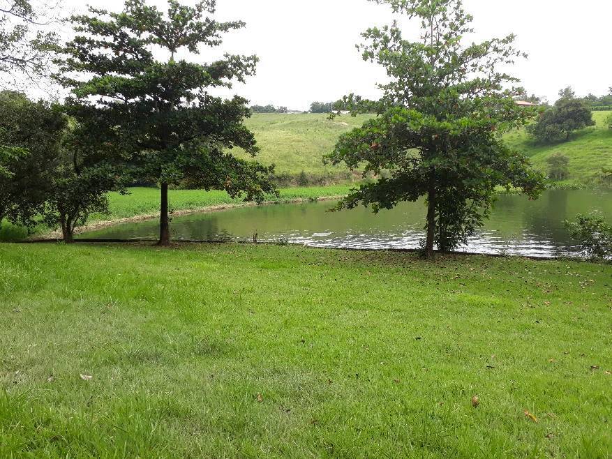Fazenda, 3 hectares - Foto 17