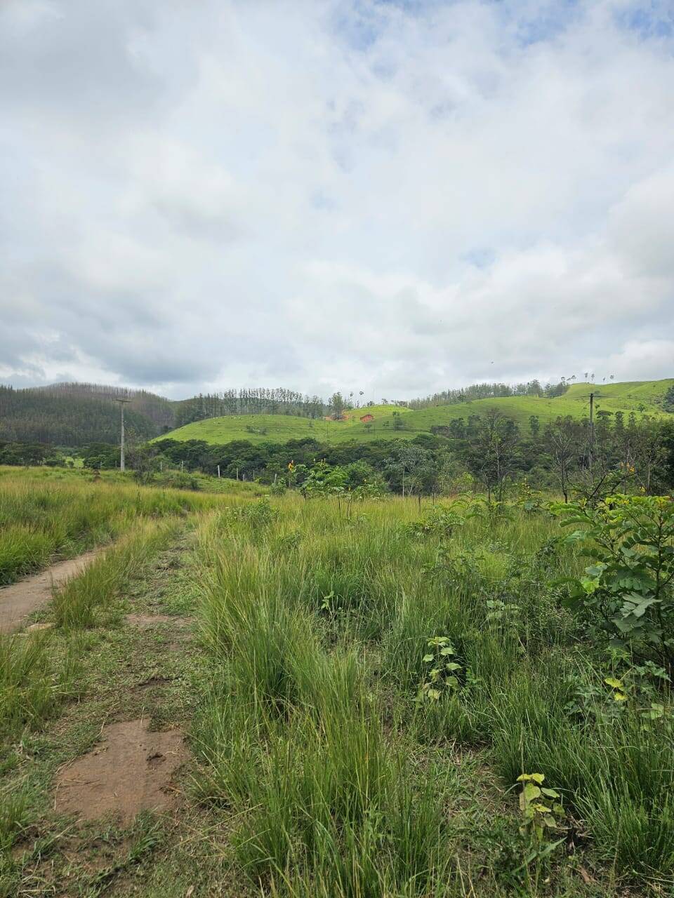 Terreno, 33 m² - Foto 4