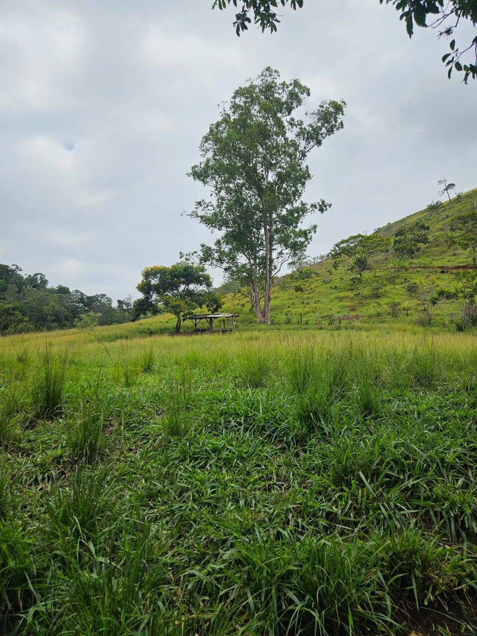 Terreno, 33 m² - Foto 6