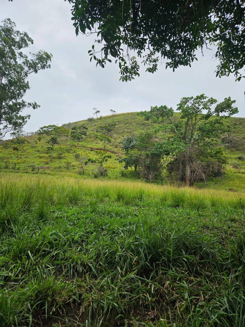 Terreno, 33 m² - Foto 7