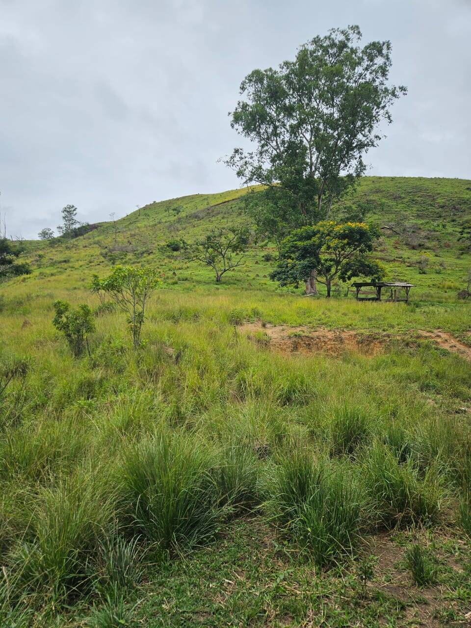 Terreno, 33 m² - Foto 8