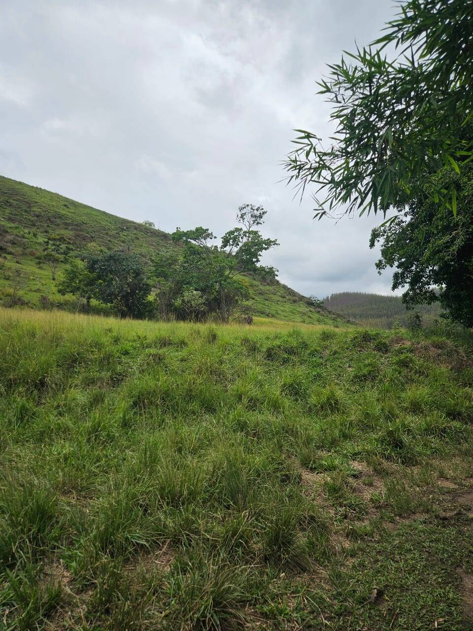 Terreno, 33 m² - Foto 10
