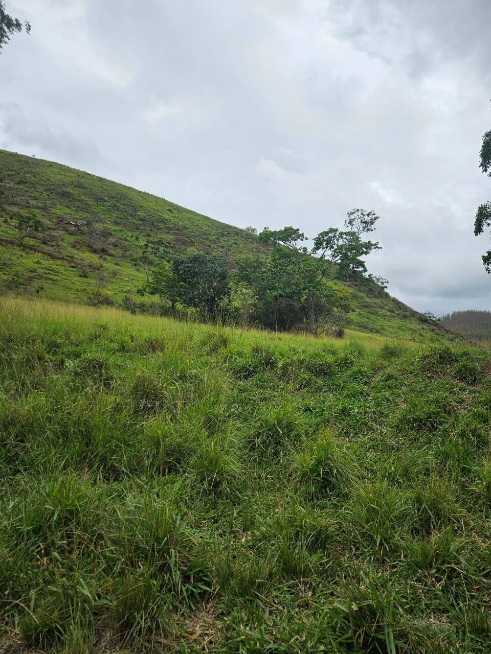 Terreno, 33 m² - Foto 11