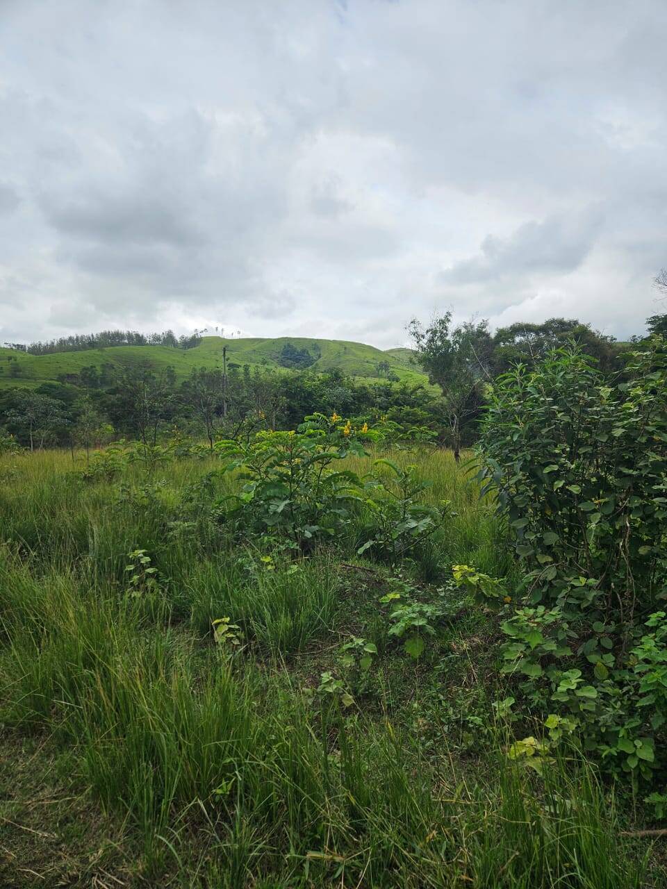 Terreno, 33 m² - Foto 15