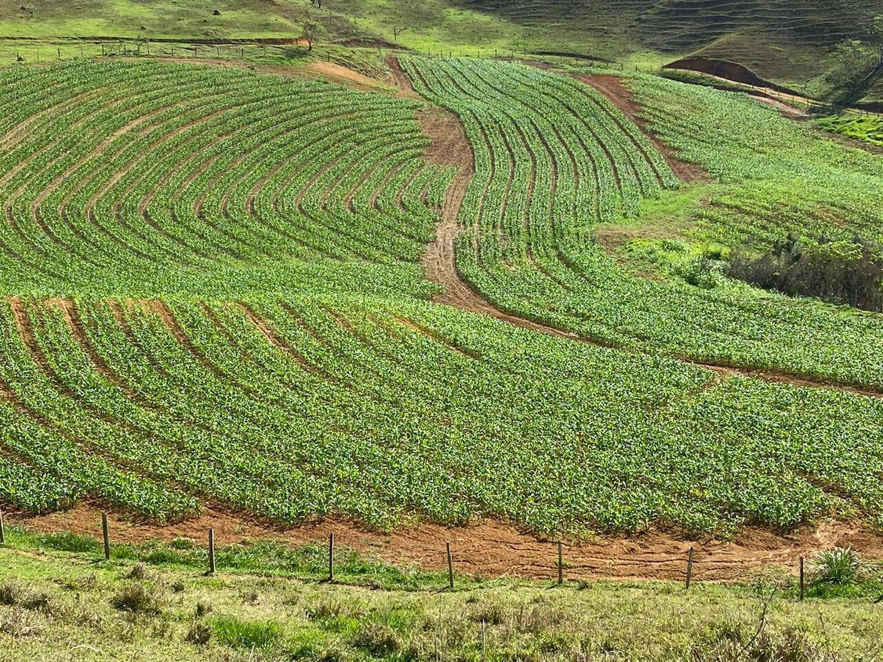 Fazenda, 92 m² - Foto 5