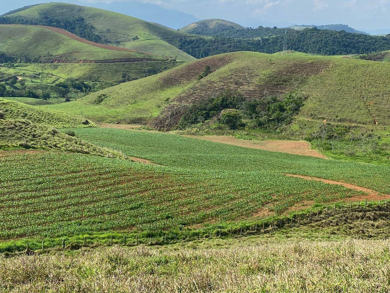 #FA-26297 - Fazenda para Venda em São José do Barreiro - SP