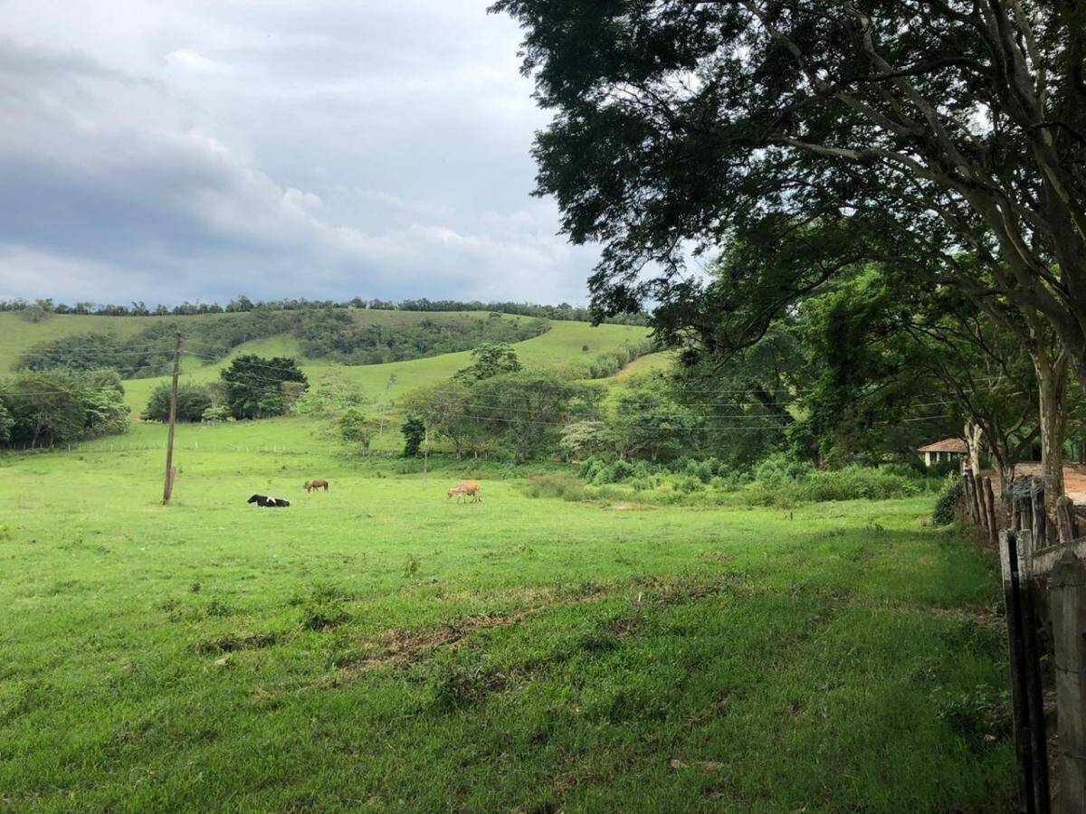 Fazenda, 1051 m² - Foto 36