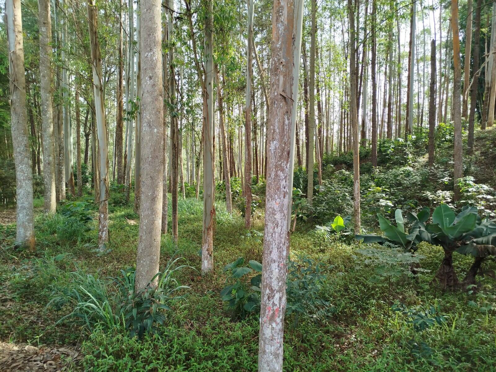 Fazenda, 470 m² - Foto 20