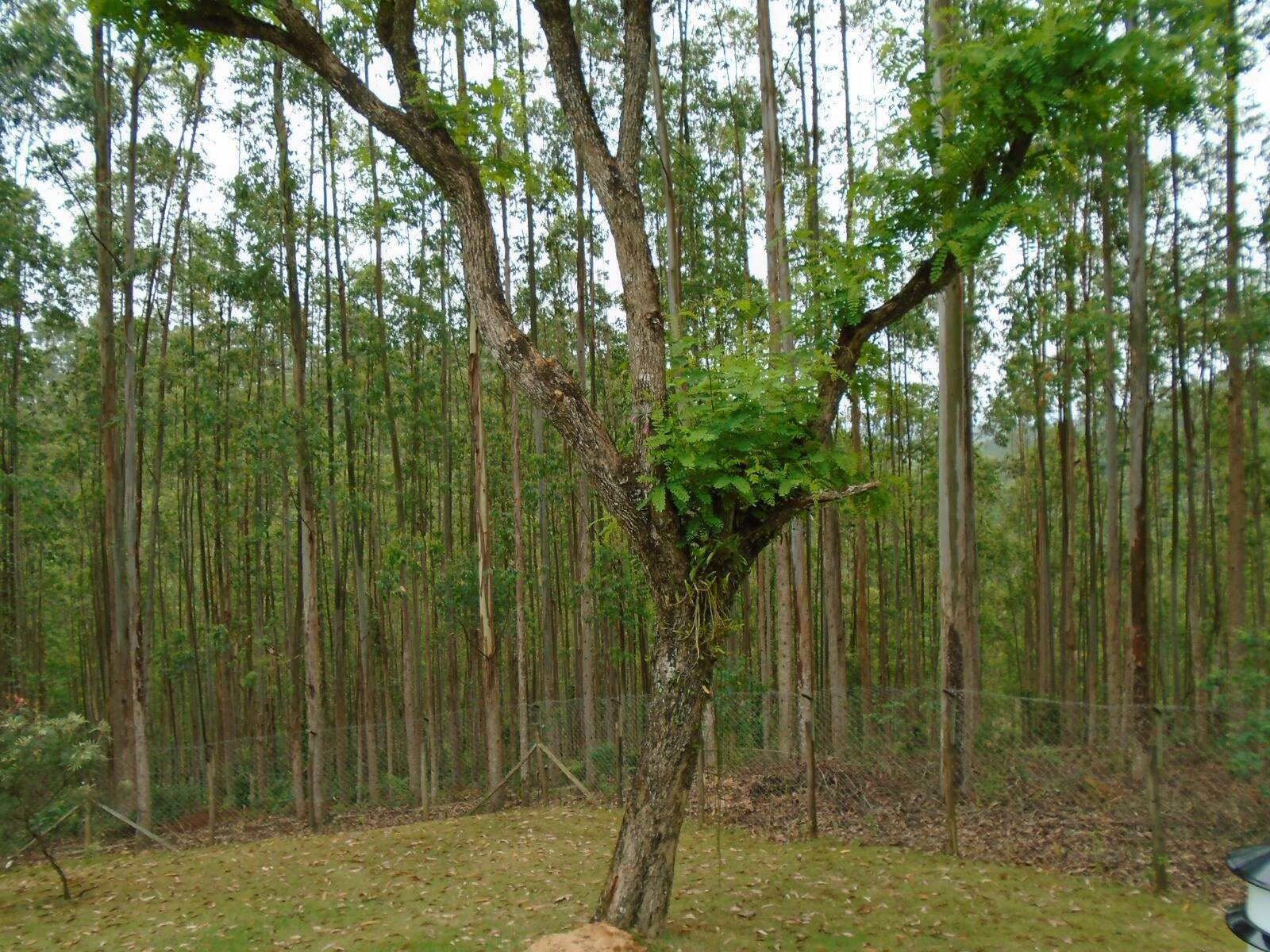 Fazenda, 470 m² - Foto 21