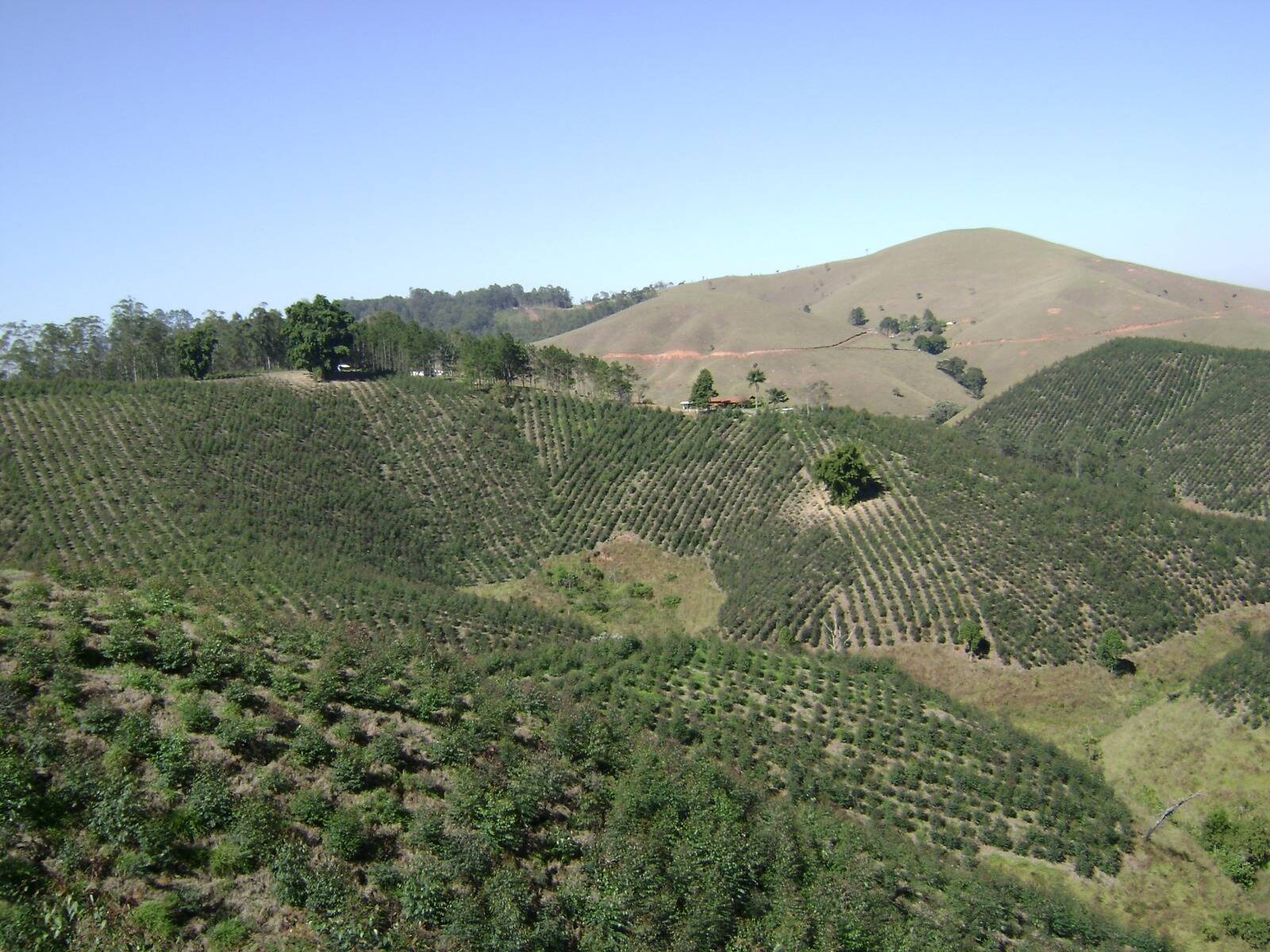 Fazenda, 470 m² - Foto 23