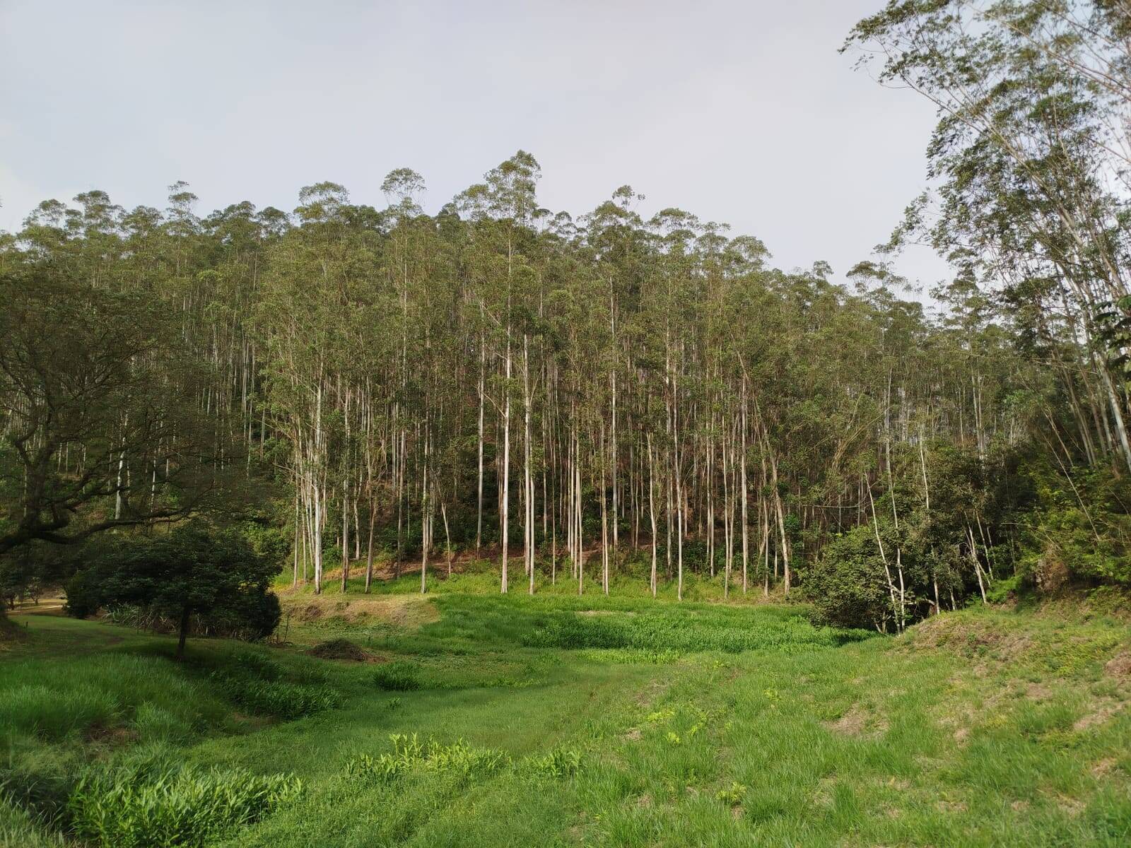 Fazenda, 470 m² - Foto 29