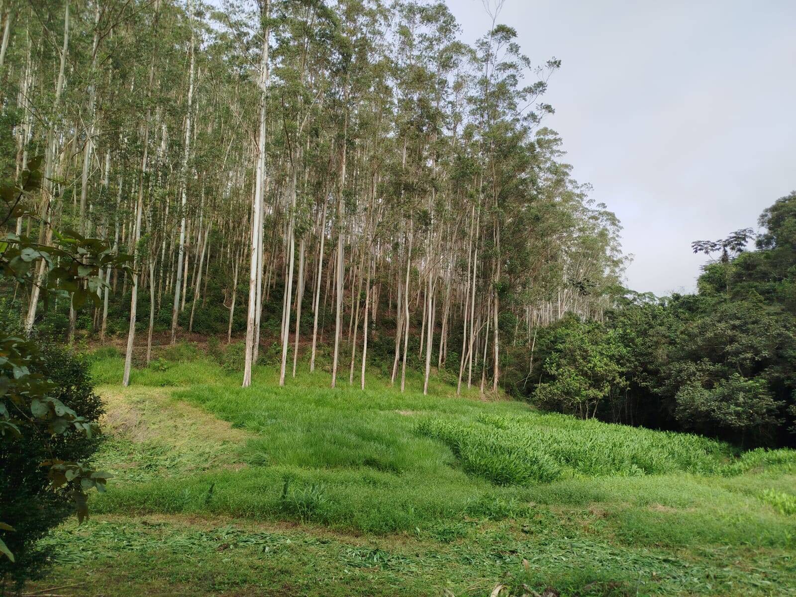 Fazenda, 470 m² - Foto 30