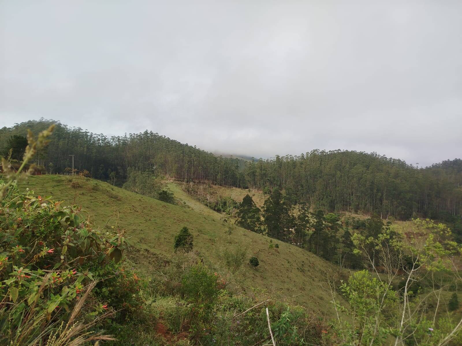 Fazenda, 470 m² - Foto 31