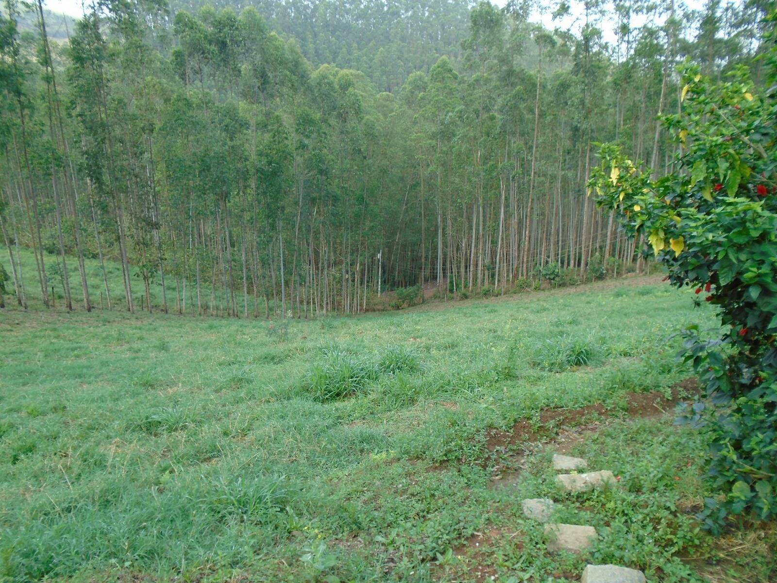 Fazenda, 470 m² - Foto 32