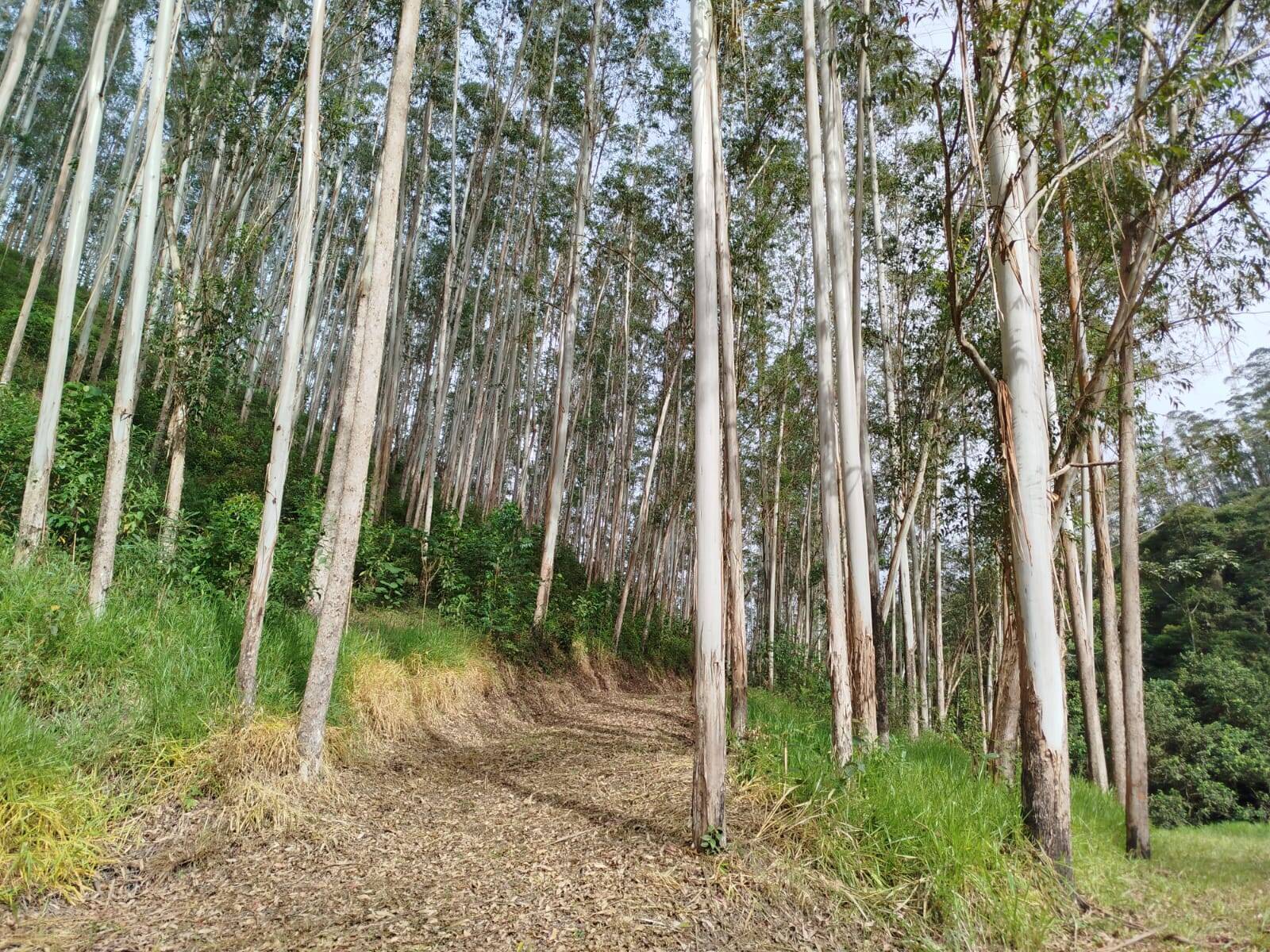 Fazenda, 470 m² - Foto 33