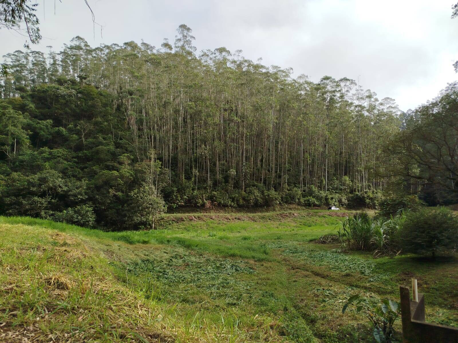 Fazenda, 470 m² - Foto 34