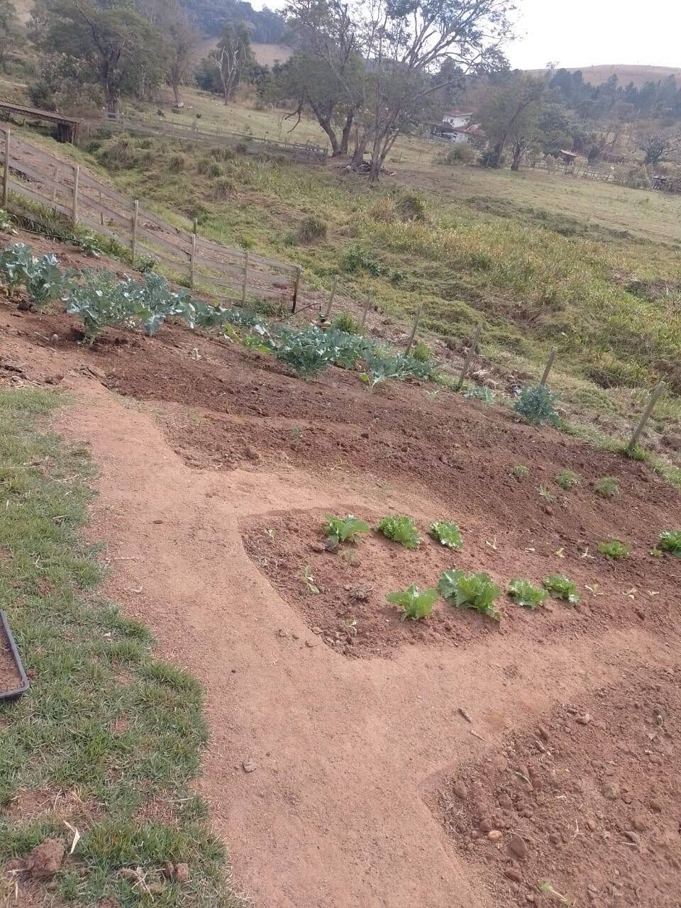 Chácara, 2 quartos, 1 hectares - Foto 18
