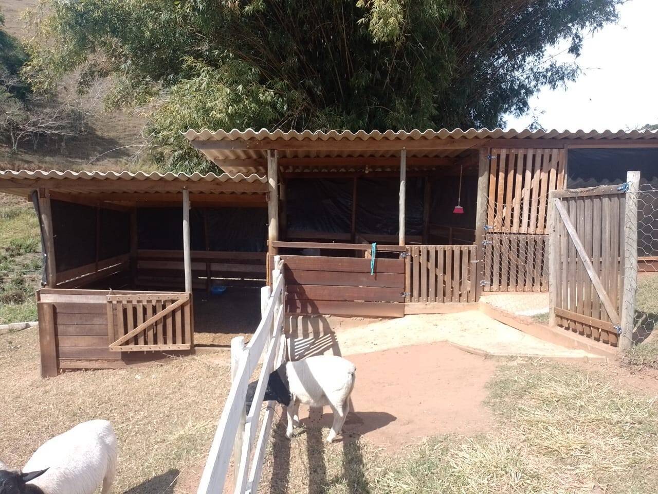 Chácara, 2 quartos, 1 hectares - Foto 19