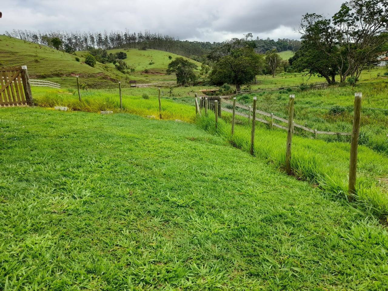 Chácara, 2 quartos, 1 hectares - Foto 20