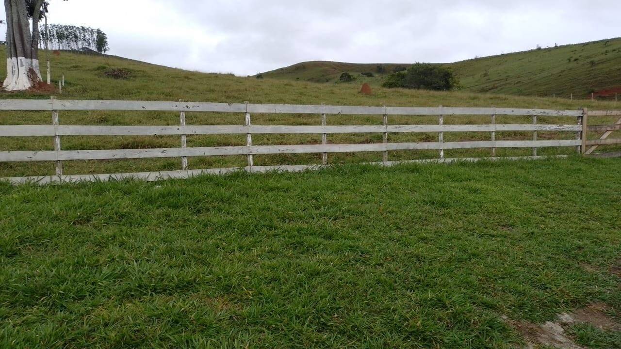 Chácara, 2 quartos, 1 hectares - Foto 23