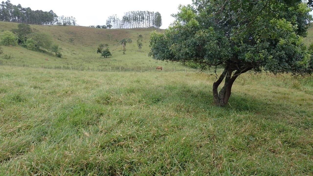 Chácara, 2 quartos, 1 hectares - Foto 24