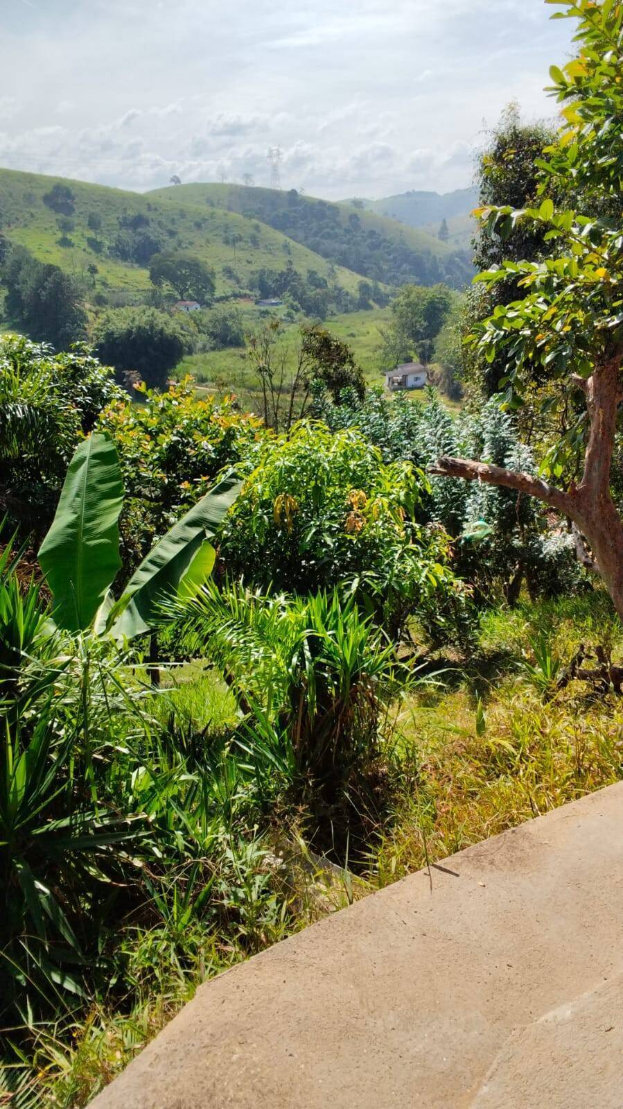 Chácara, 4 quartos, 7400 m² - Foto 4