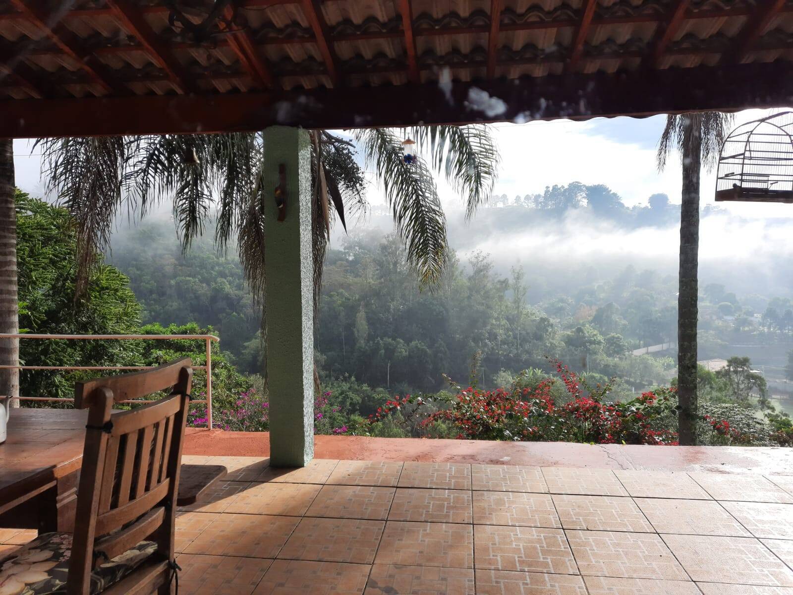 Chácara, 3 quartos, 5650 m² - Foto 5