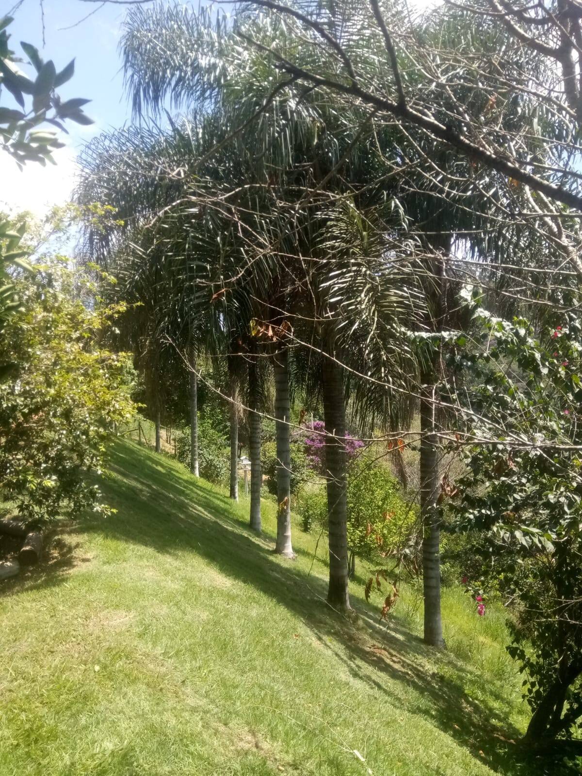 Chácara, 3 quartos, 5650 m² - Foto 35