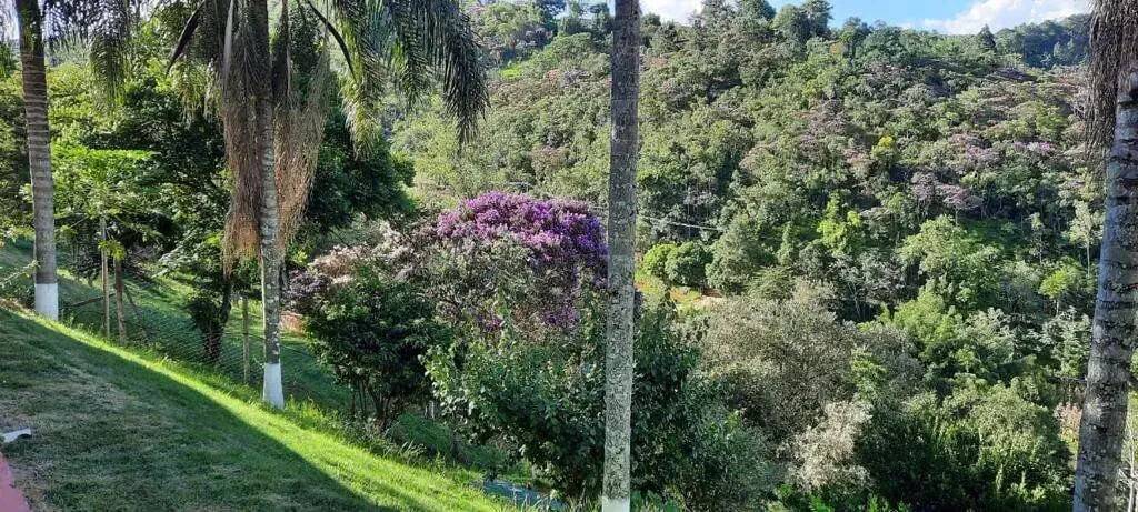 Chácara, 3 quartos, 5650 m² - Foto 43