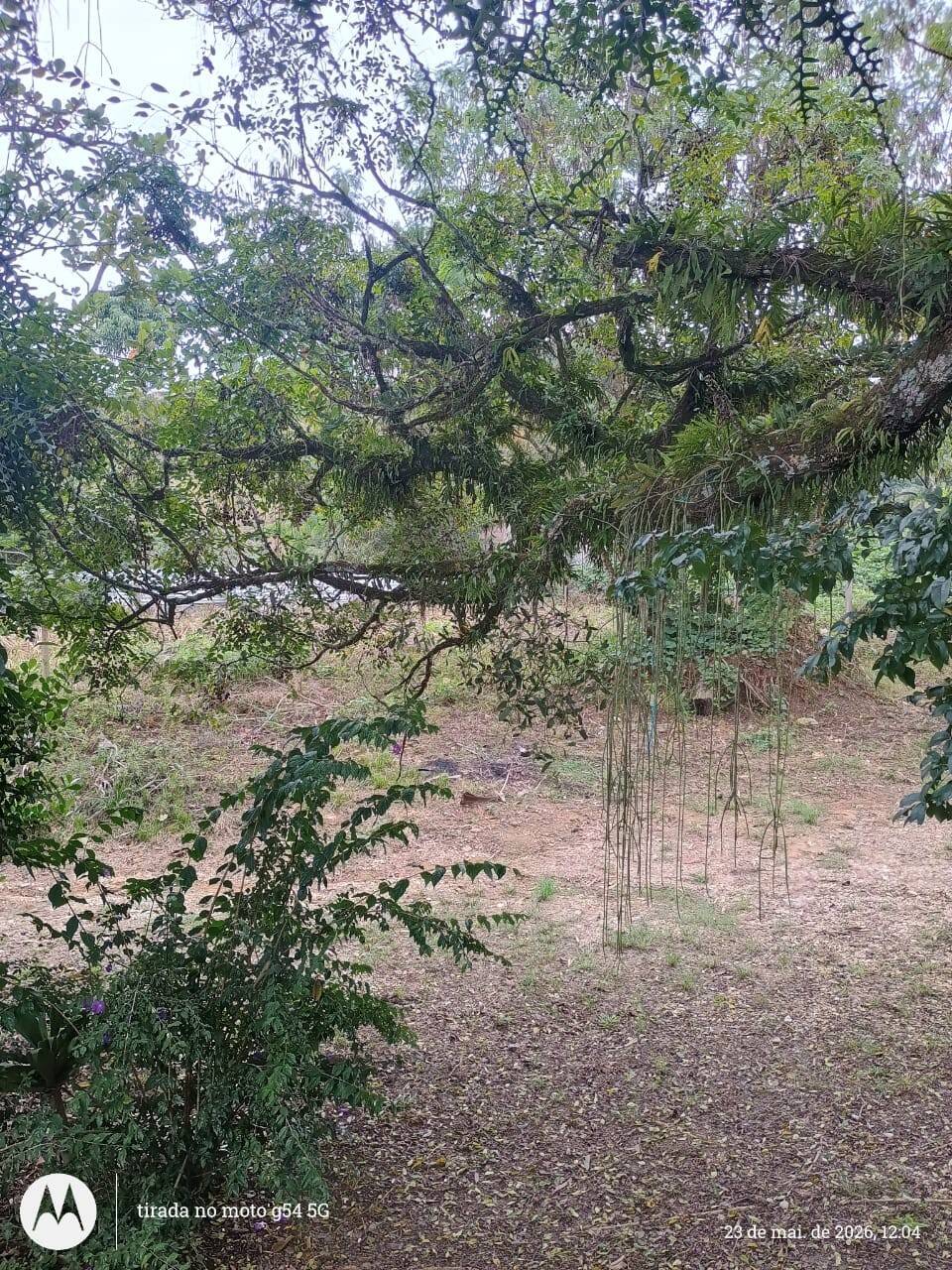 Chácara, 3 quartos, 4500 m² - Foto 27