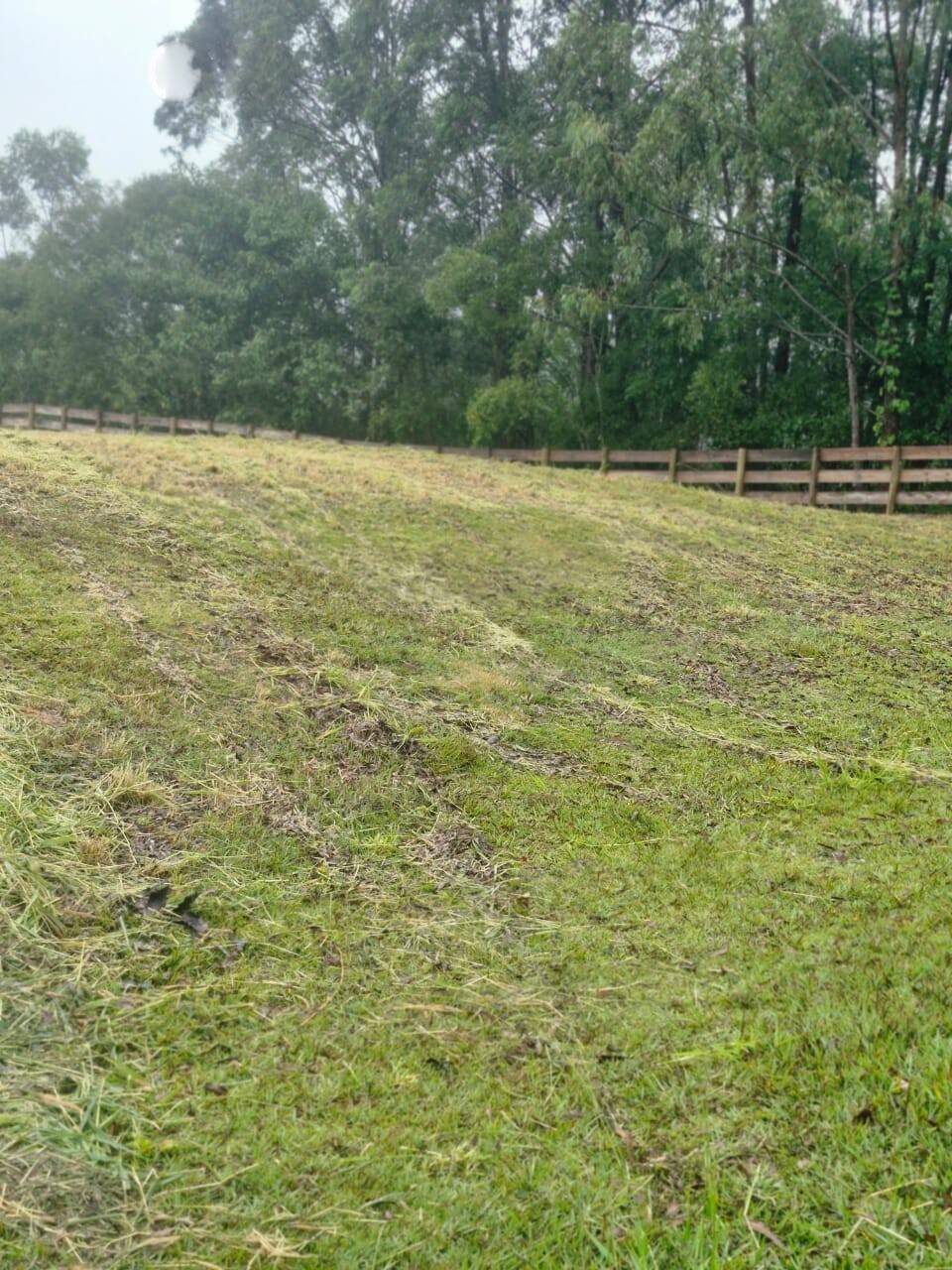 Terreno, 1200 m² - Foto 8
