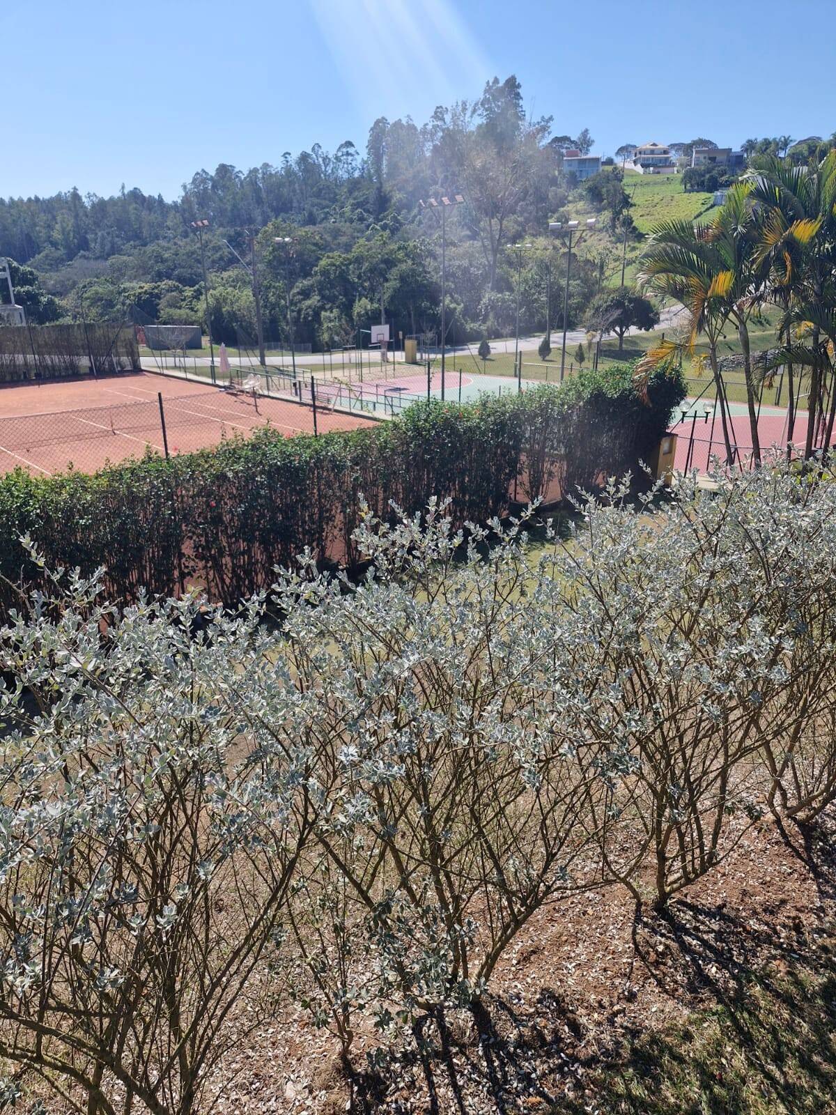Terreno, 1000 m² - Foto 17