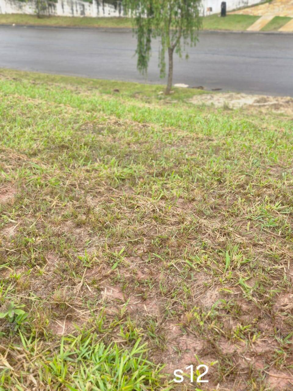 Terreno - Foto 7