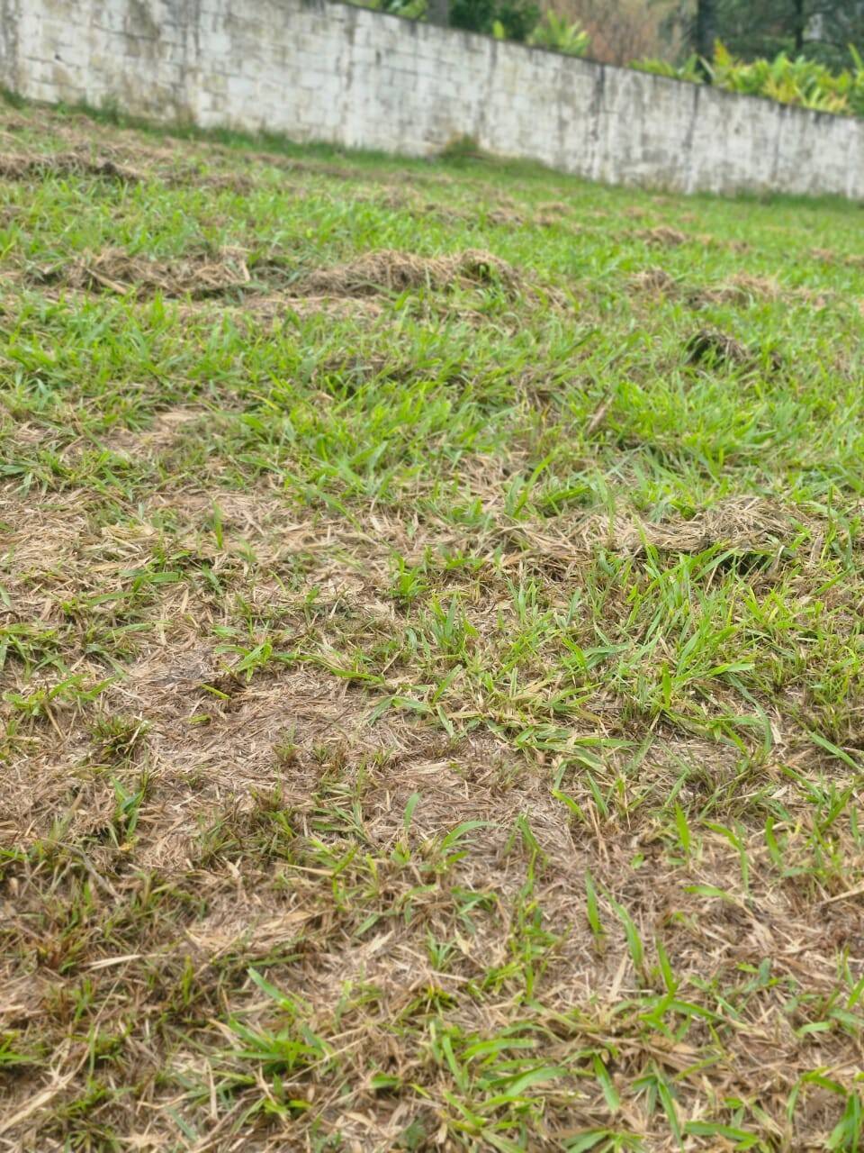 Terreno - Foto 11