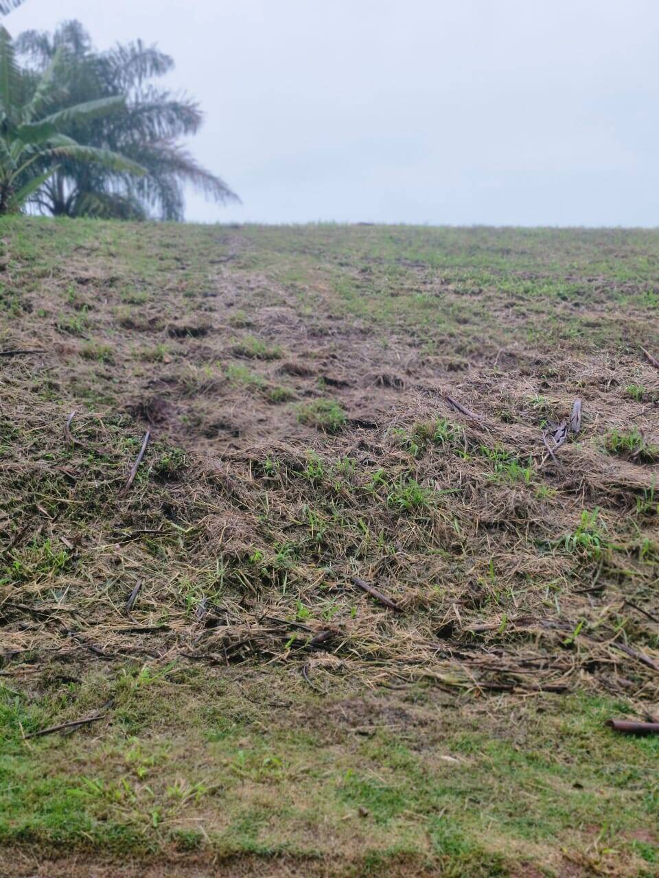 Terreno - Foto 14