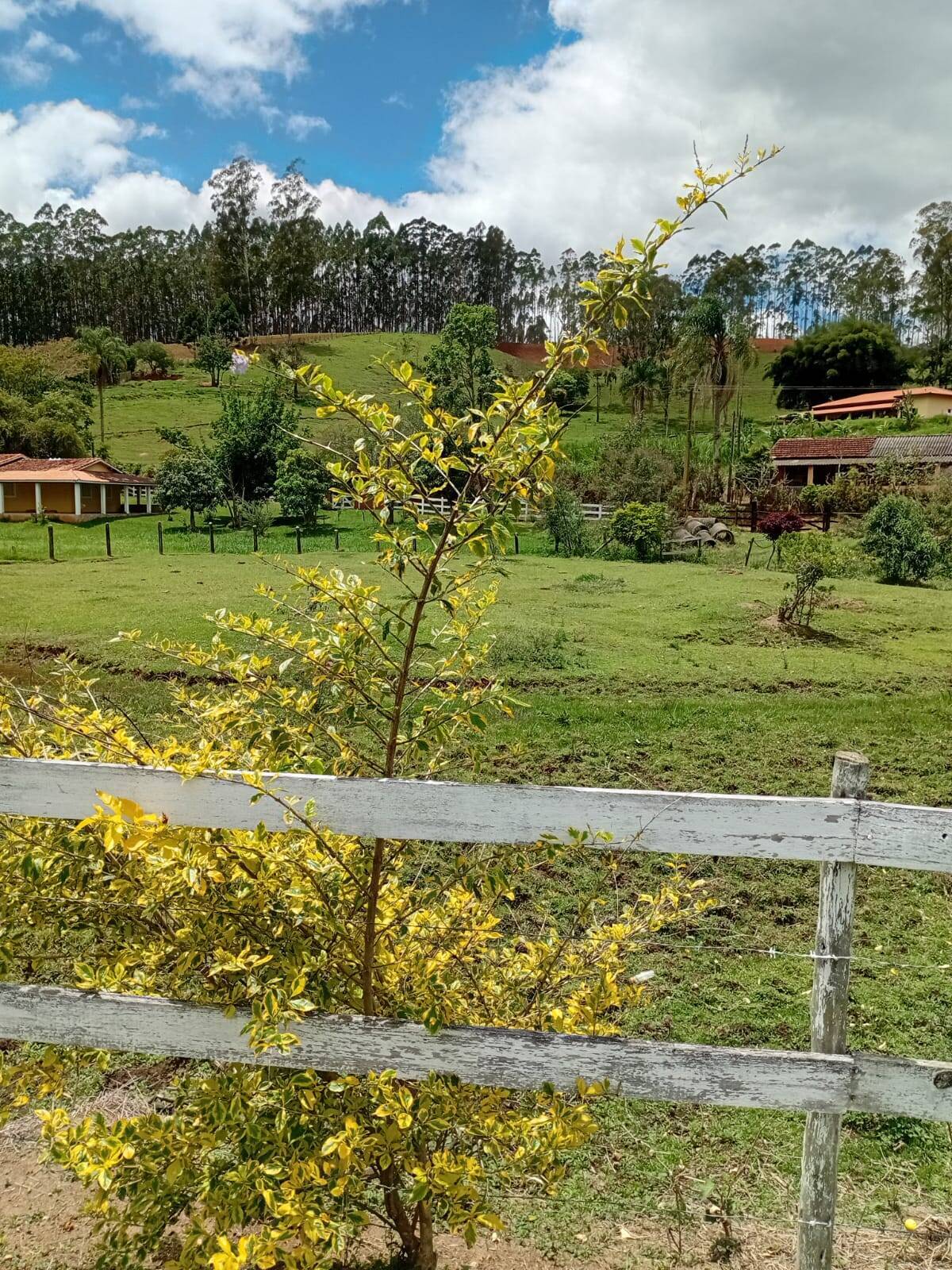 Sítio, 4 quartos, 2 hectares - Foto 3